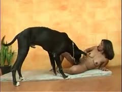 Tiny flat chested skinny teen girl having sex with a massive black dog